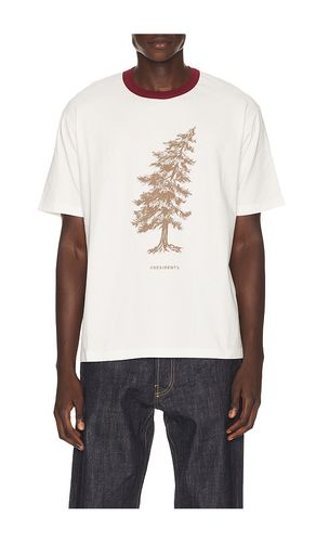 Camiseta en color multi talla L (también en M, S, XL/1X) - President's - Modalova