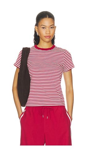 Alba Baby Tee in . Size M. Also in S, XS - PISTOLA - Modalova