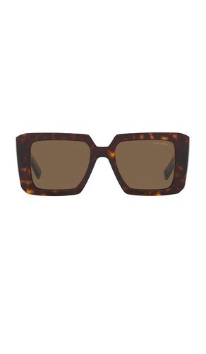 Square Sunglasses in Chocolate - Prada - Modalova
