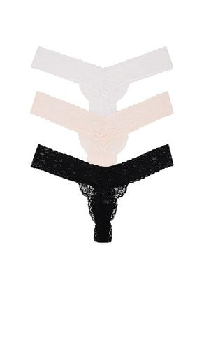 Violet Lace Thong 3 Pack in . - size L/XL (also in S/M, XXS/XS) - Privacy Please - Modalova