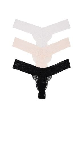 Violet Lace Thong 3 Pack in . - size L/XL (also in XXS/XS) - Privacy Please - Modalova