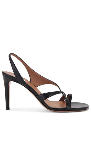 Liza 85 Slingback Sandal in . - size 36 (also in 37, 38.5) - Paris Texas - Modalova