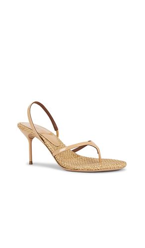 Lidia Thong Slingback Sandal 70 in . Size 36. Also in 38, 39 - Paris Texas - Modalova