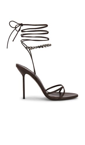 Lidia Lace Up Sandal in . Size 36. Also in 37, 38, 41 - Paris Texas - Modalova