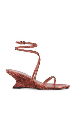 Nina Lace Up Sandal 50 in . Size 36. Also in 38 - Paris Texas - Modalova