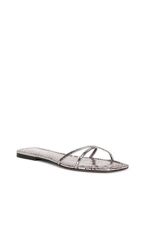 Biarritz Flat Sandal in Metallic silver. - size 37 (also in 38, 39, 40) - Paris Texas - Modalova
