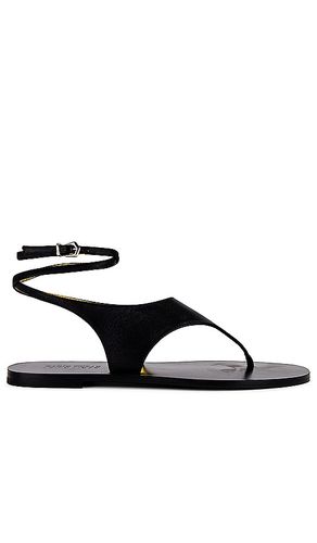 Amalfi Flat Sandal in . - size 10 (also in 11, 8.5, 9.5) - Paris Texas - Modalova