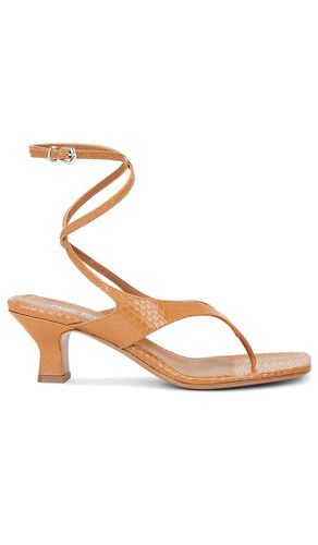 Portofino Lace Up Sandal in Brown. - size 6 (also in 6.5, 7, 7.5, 8, 9) - Paris Texas - Modalova