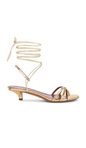 Linda Lace Up 35 Sandal Sandal in Metallic . - size 36 (also in 37, 38) - Paris Texas - Modalova