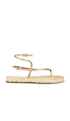 Hydra Flat Sandal in Metallic ,Neutral. - size 37 (also in 39) - Paris Texas - Modalova