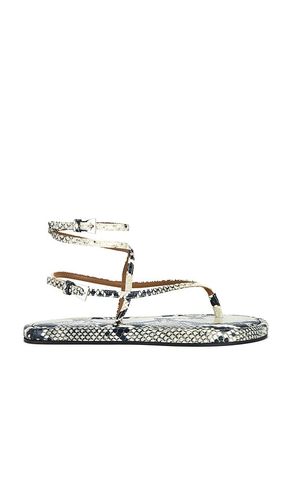Hydra Flat Sandal in Black,Light Grey. - size 36 (also in 37, 38) - Paris Texas - Modalova
