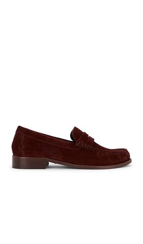 Dylan Loafer in Brown. - size 37 (also in 38, 39, 40) - Paris Texas - Modalova