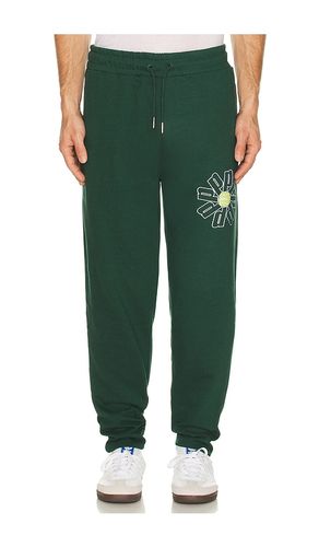 Fleece Pant in . - size S (also in L, XL/1X) - Prince Tennis - Modalova
