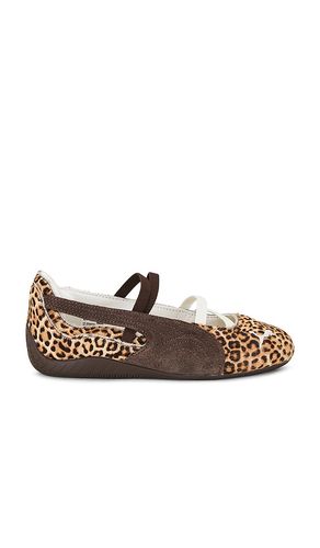 Speedcat Wild Ballet Flat in Brown. - size 10 (also in 6, 6.5, 7, 7.5, 8, 8.5, 9, 9.5) - Puma Select - Modalova