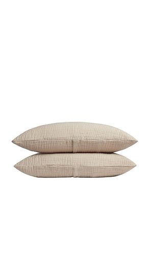 Organic Cloud Cotton Sham Set in . Taglia STANDARD. Also in - Parachute - Modalova
