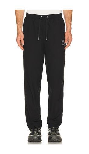 Cross Train Jogger in . Size L. Also in M, XL/1X - Paradise Zero - Modalova