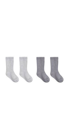 SOCKEN in . Größe 12-24mo. Also in 3-5yr - QUINCY MAE - Modalova