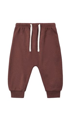SWEATHOSE in . Größe 12-18M. Also in 18-24M, 4-5Y - QUINCY MAE - Modalova