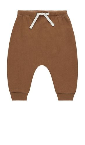 Kids Sweatpant in Brown. - size 12-18M (also in 18-24M, 4-5yr) - QUINCY MAE - Modalova