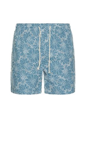 Logan Shorts in Blue. - size L (also in M, S, XL/1X) - Rails - Modalova