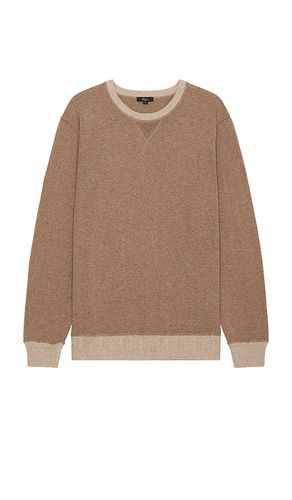 Burns Pullover Sweater in Brown. - size L (also in M, S, XL/1X) - Rails - Modalova