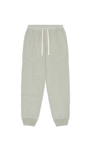 Cooper Sweatpants in Grey. - size L (also in M, S, XL/1X) - Rails - Modalova