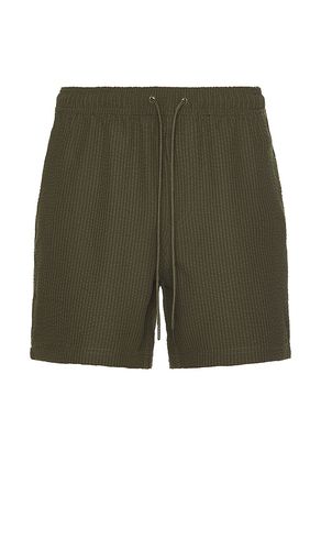 La Brea Shorts in Olive. - size L (also in S, XL/1X) - Rails - Modalova