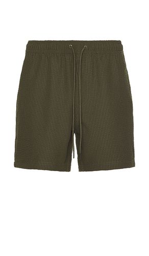 La Brea Shorts in Olive. - size M (also in S, XL/1X) - Rails - Modalova