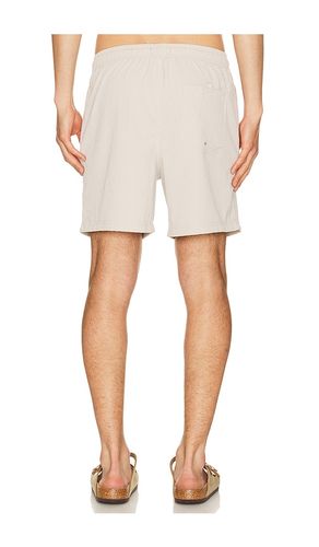 La brea swim trunks in color light grey size S (also in M, L, XL/1X) - Rails - Modalova