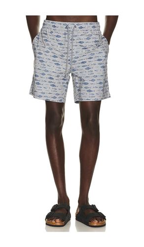 Dane Swim Trunks in . Size L. Also in M, S, XL/1X - Rails - Modalova