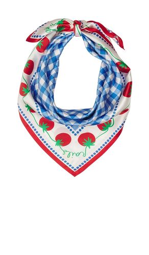 X Giadzy Cosima Scarf in - Rails - Modalova