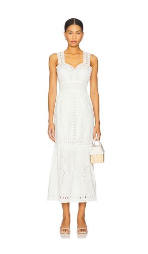 Fawn Dress in . - size M (also in S, XL) - Rails - Modalova
