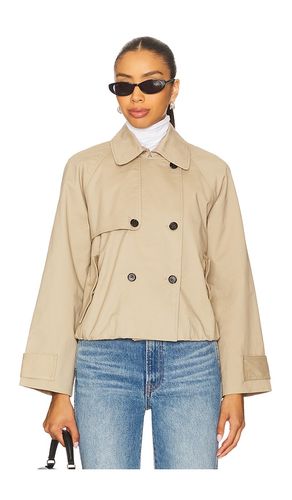 Jett Jacket in . - size L (also in M, S, XL, XS) - Rails - Modalova