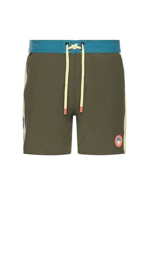 Passage 16 Side Panel Swim Short in Brown. - size 30 (also in 34, 36) - ROARK - Modalova