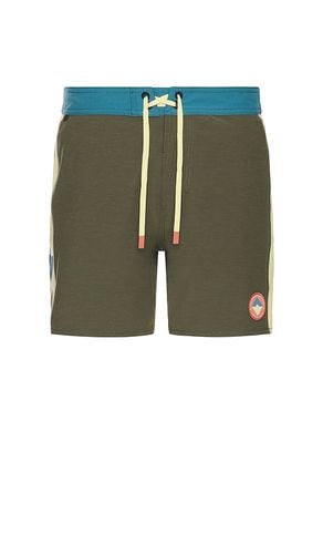 Passage 16 Side Panel Swim Short in Brown. - size 30 (also in 36) - ROARK - Modalova