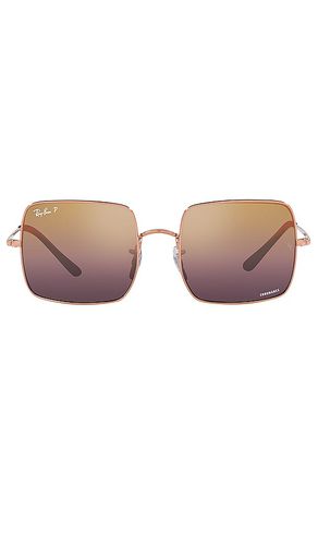 SONNENBRILLE in - Ray-Ban - Modalova