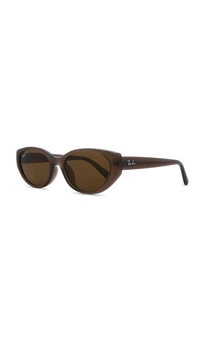 Ray-Ban Oval Sunglasses in Brown - Ray-Ban - Modalova