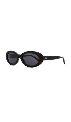 Oval sunglasses in color brown size all - Ray-Ban - Modalova