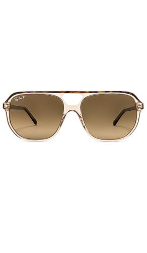 Aviator sunglasses in color brown size all - Ray-Ban - Modalova