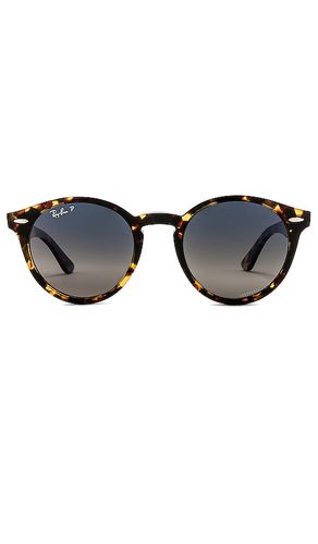 Phantos Sunglasses in Brown - Ray-Ban - Modalova