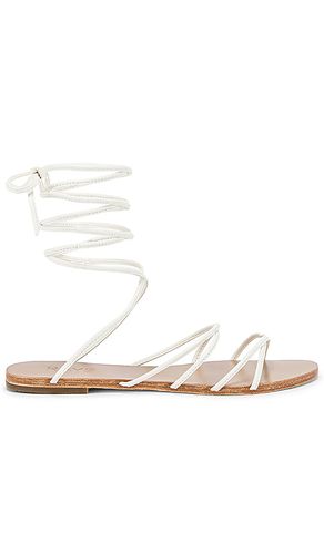 Collette Sandal in . - size 10 (also in 6, 6.5, 7, 9, 9.5) - RAYE - Modalova