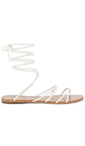 Collette Sandal in . - size 6 (also in 7, 7.5, 9.5) - RAYE - Modalova