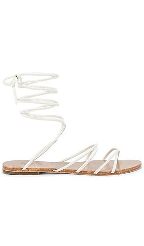 Collette Sandal in . - size 6 (also in 9.5) - RAYE - Modalova