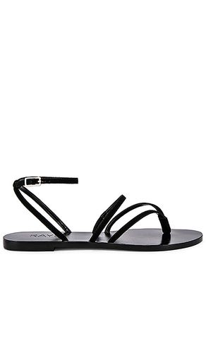 Void Sandal in . - size 10 (also in 5.5, 6, 6.5, 7, 7.5, 8.5) - RAYE - Modalova