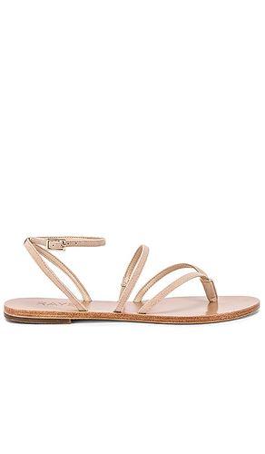 Void Sandal in . - size 10 (also in 5.5, 6, 6.5, 7, 7.5, 8, 8.5, 9, 9.5) - RAYE - Modalova