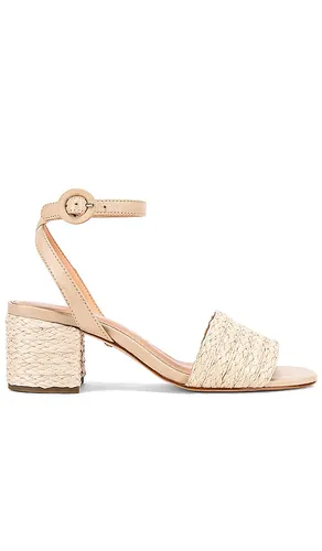 Nava Sandal in Neutral. - size 5.5 (also in 6, 7, 7.5, 8, 8.5) - RAYE - Modalova