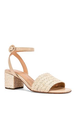 Nava Sandal in . Size 10. Also in 6, 7, 7.5, 8, 8.5 - RAYE - Modalova