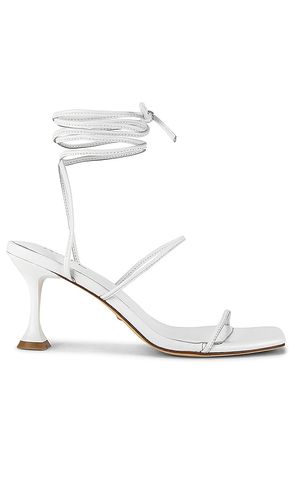 Roo Heel in . Size 6.5. Also in 5.5, 6, 7, 7.5, 8, 8.5, 9, 9.5, 10 - RAYE - Modalova
