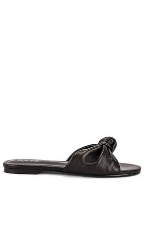 Buffy Sandal in . - size 5.5 (also in 6, 6.5, 7, 7.5, 8, 9) - RAYE - Modalova