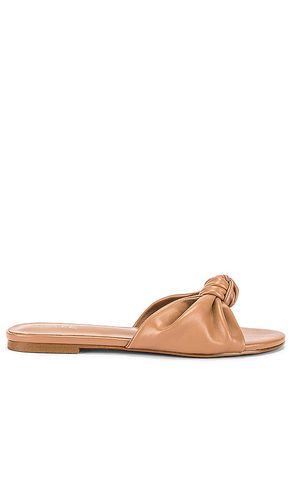 Buffy Sandal in . - size 6.5 (also in 7, 7.5, 9.5) - RAYE - Modalova